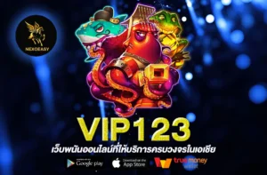 VIP123