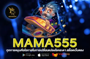 MAMA555