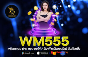 WM555